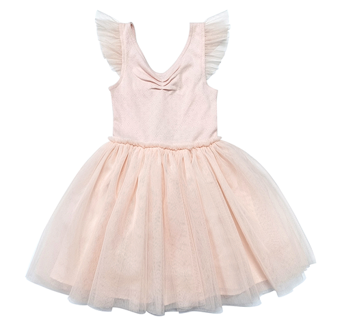 Blush Pointelle Ballerina Dress